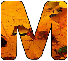 Herbstbuchstabe-2-M.jpg